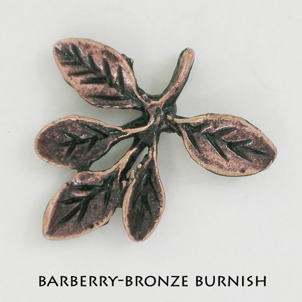 Barberry - Click Image to Close
