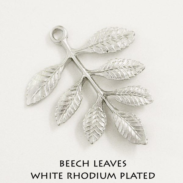 Beech leaves - Click Image to Close