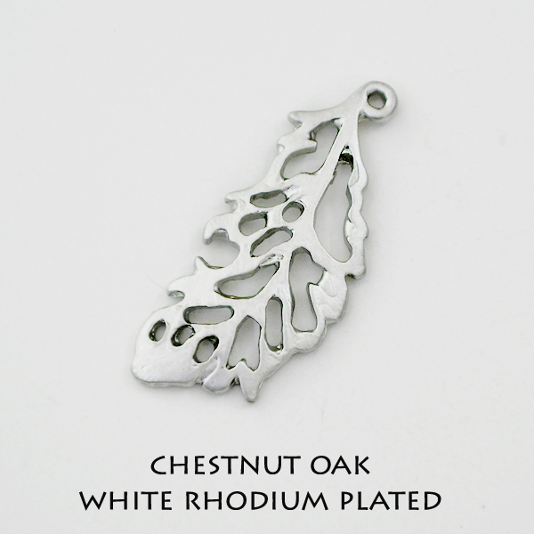 Chestnut oak - Click Image to Close