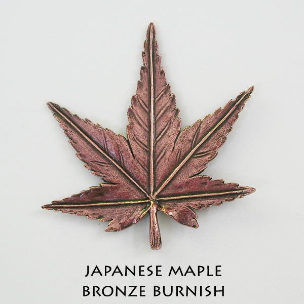 Japanese maple - Click Image to Close