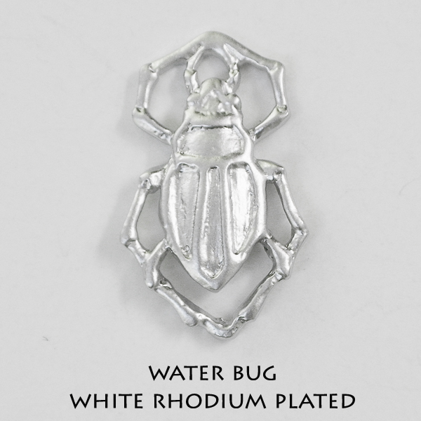 Water bug - Click Image to Close