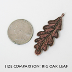 Big oak leaf