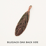 Blue jack oak