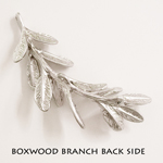 Boxwood branch