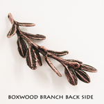 Boxwood branch