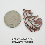 Downy feather