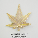 Japanese maple