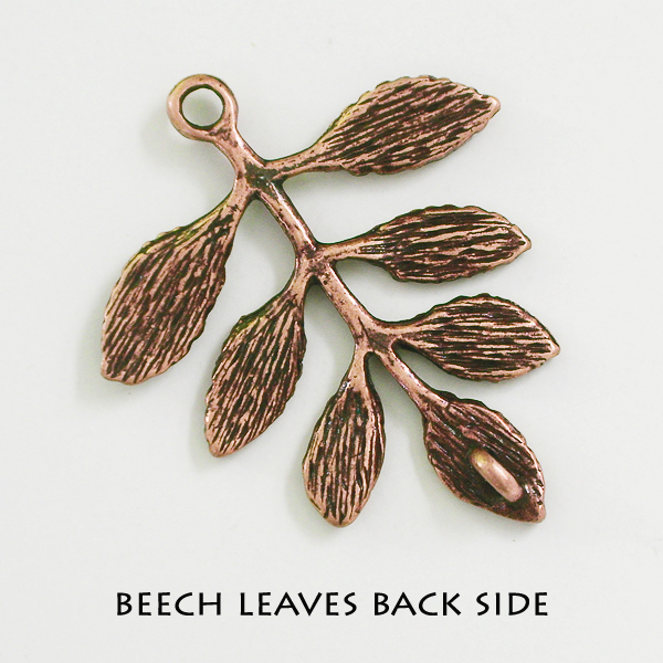 Beech leaves - Click Image to Close