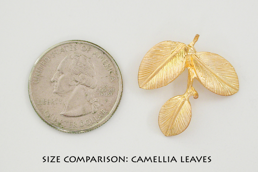 Camellia leaves - Click Image to Close