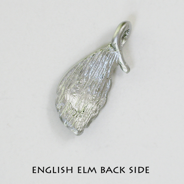 English elm - Click Image to Close