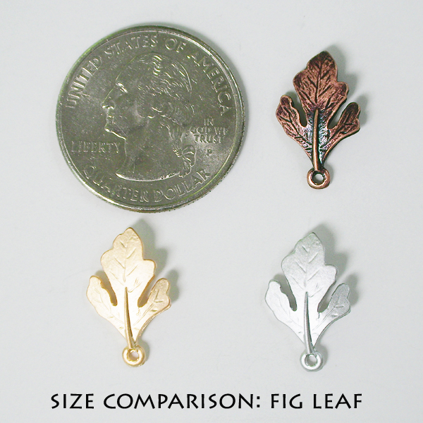 Fig leaf - Click Image to Close