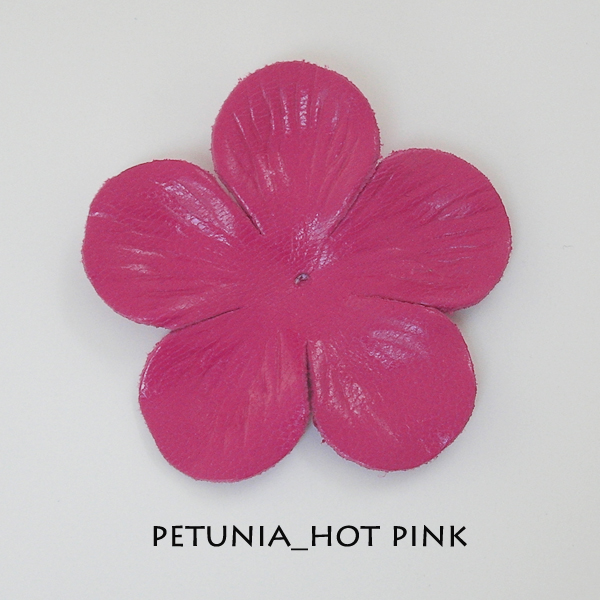 Petunia_Hot Pink - Click Image to Close