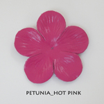 Petunia_Hot Pink