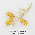 Pine cones branch