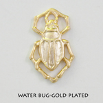 Water bug - Click Image to Close